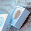 Dream silver Shell Ring