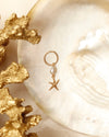 Aloha shell Belly Button ring small