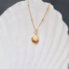 Golden Beach Shell Necklace