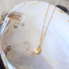 Golden Beach Shell Necklace