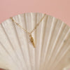 Aloha Sea Shell Silver Necklace